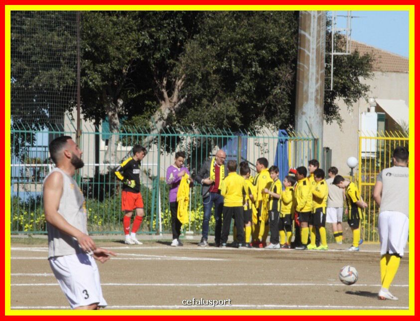 190310 Cephal_Torrenov 005_tn.jpg
